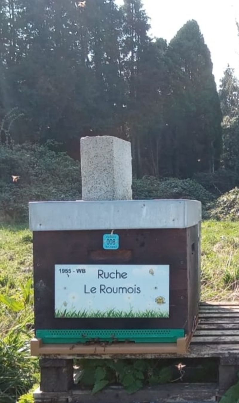 La ruche Le Roumois