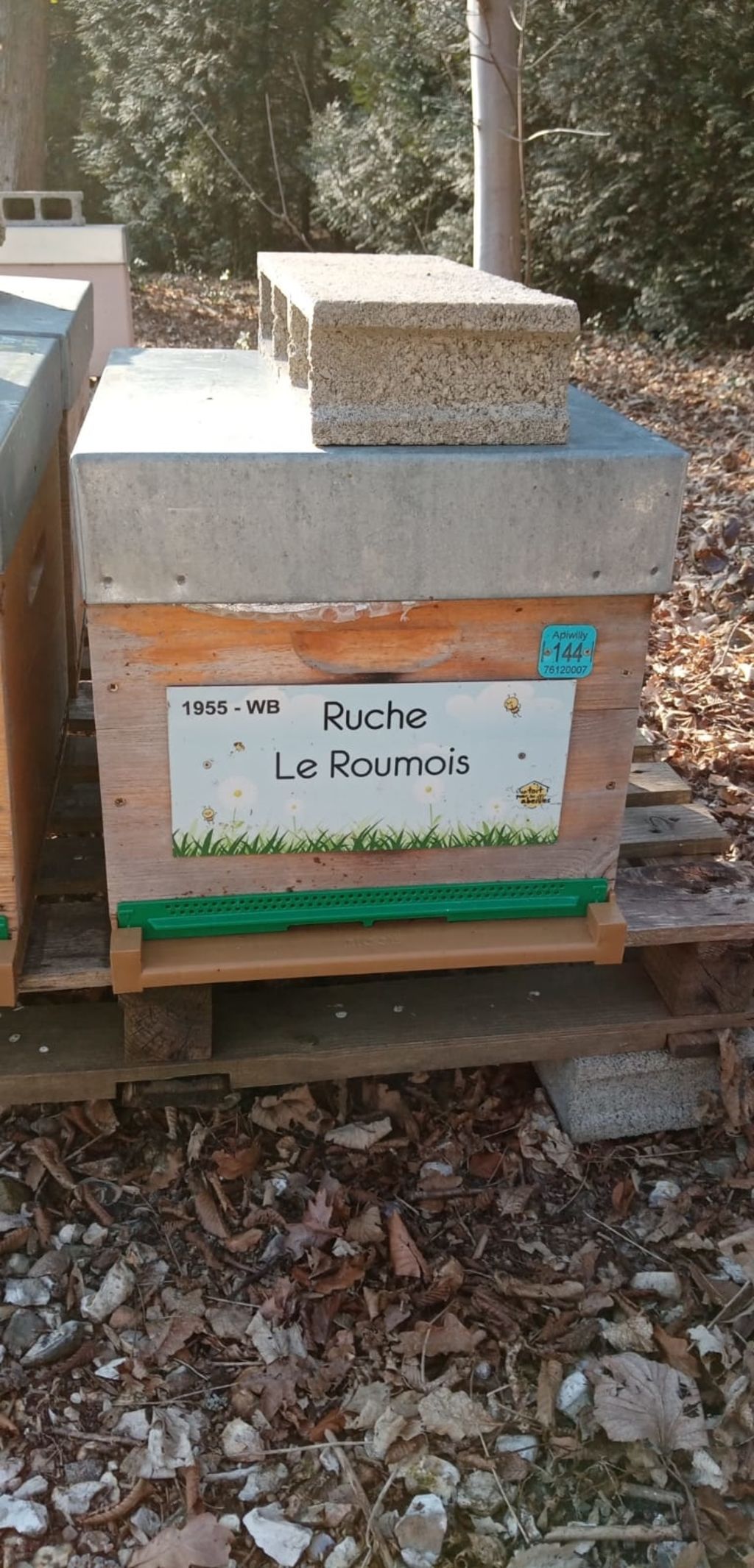 La ruche Le Roumois