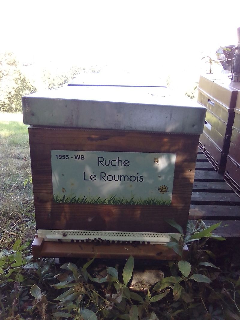 La ruche Le Roumois