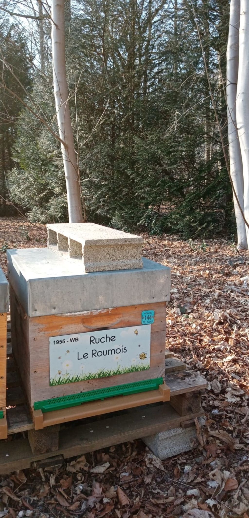 La ruche Le Roumois