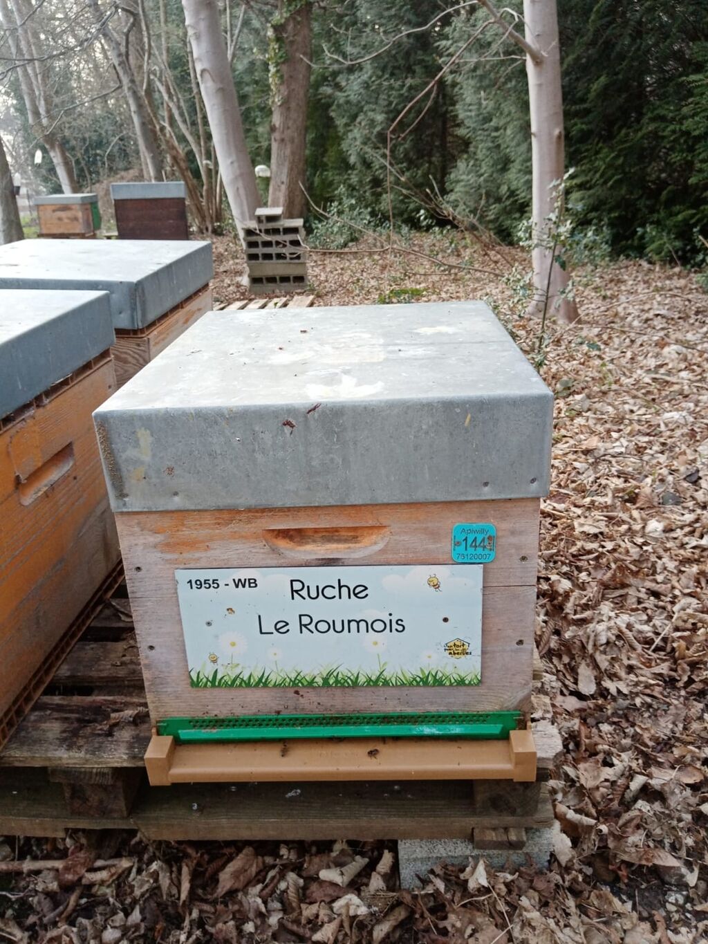 La ruche Le Roumois