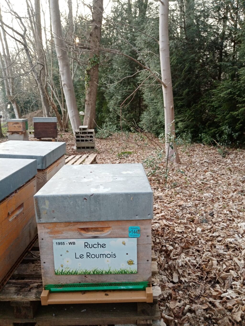 La ruche Le Roumois