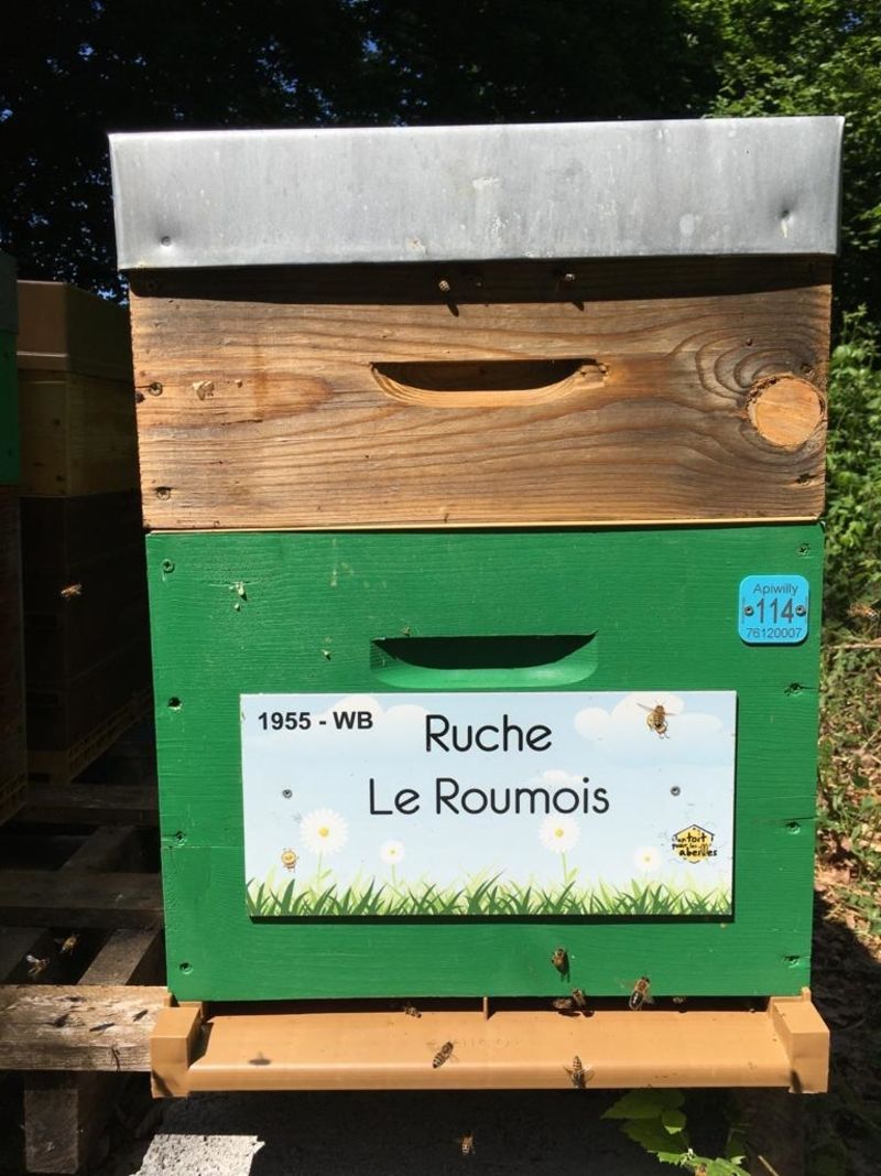 La ruche Le Roumois