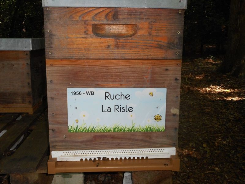 La ruche La Risle