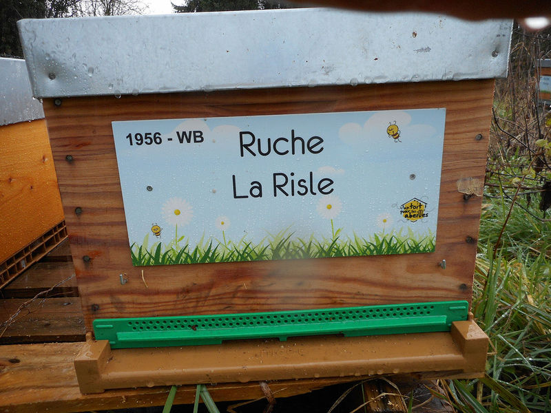 La ruche La Risle