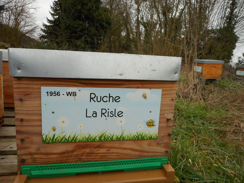 La ruche La Risle