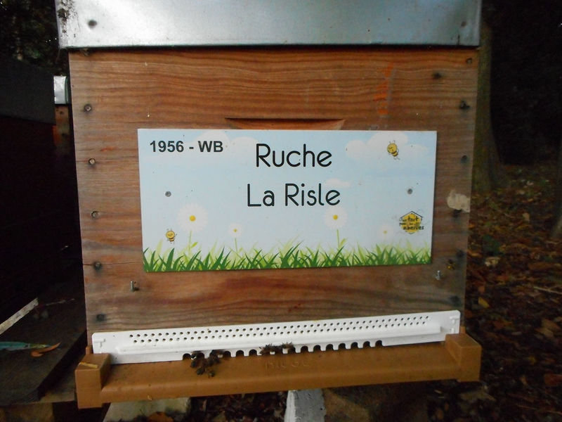 La ruche La Risle