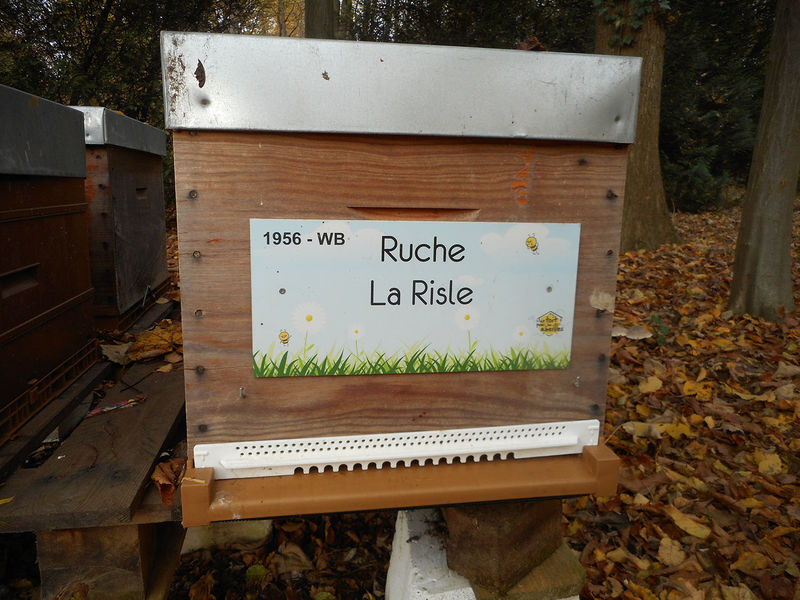 La ruche La Risle