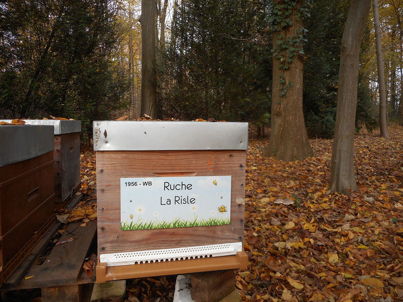 La ruche La Risle