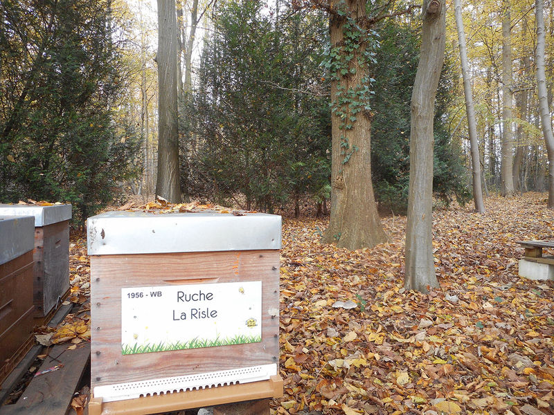 La ruche La Risle