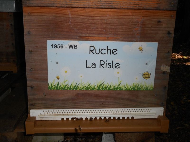 La ruche La Risle