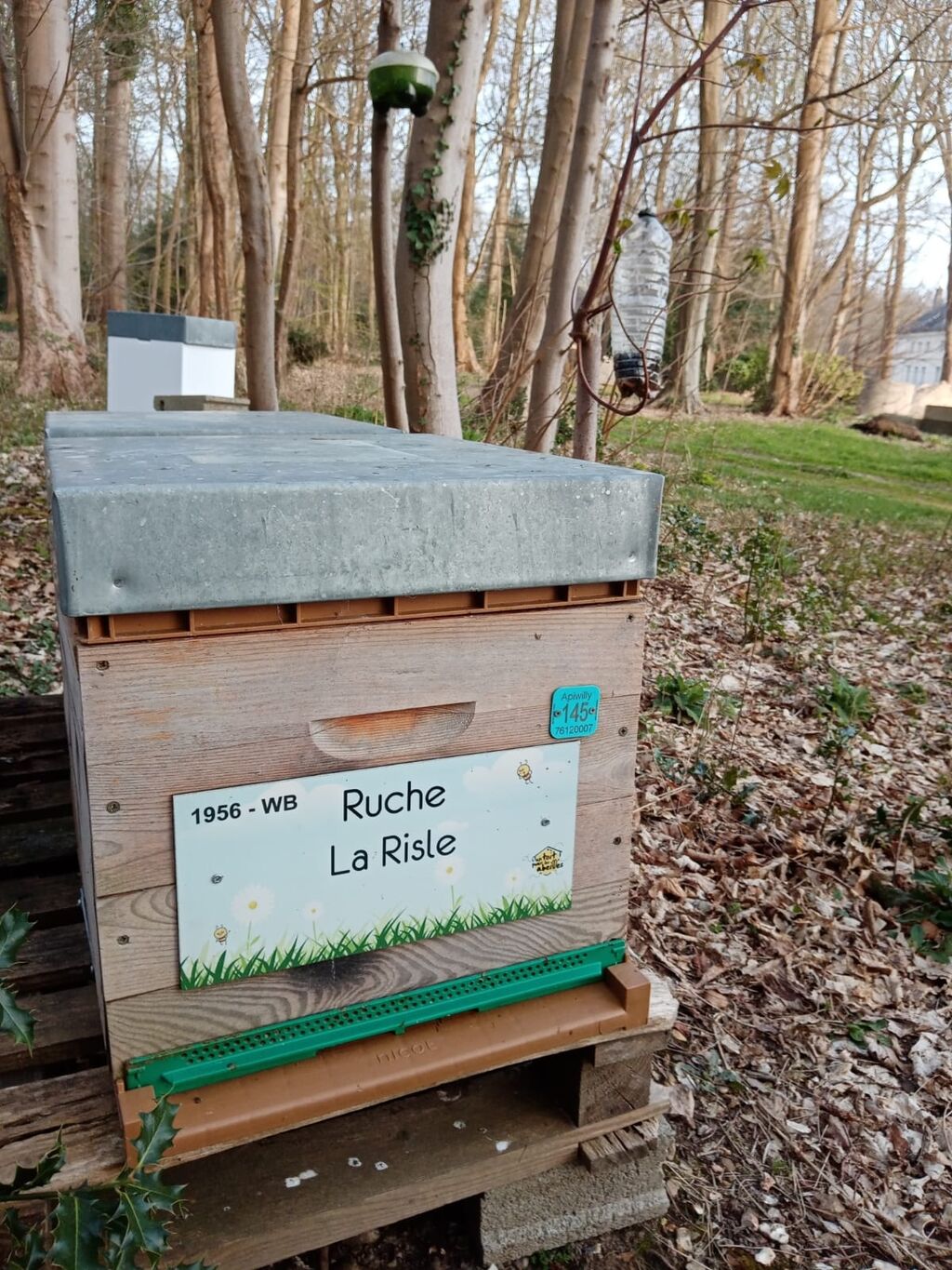La ruche La Risle