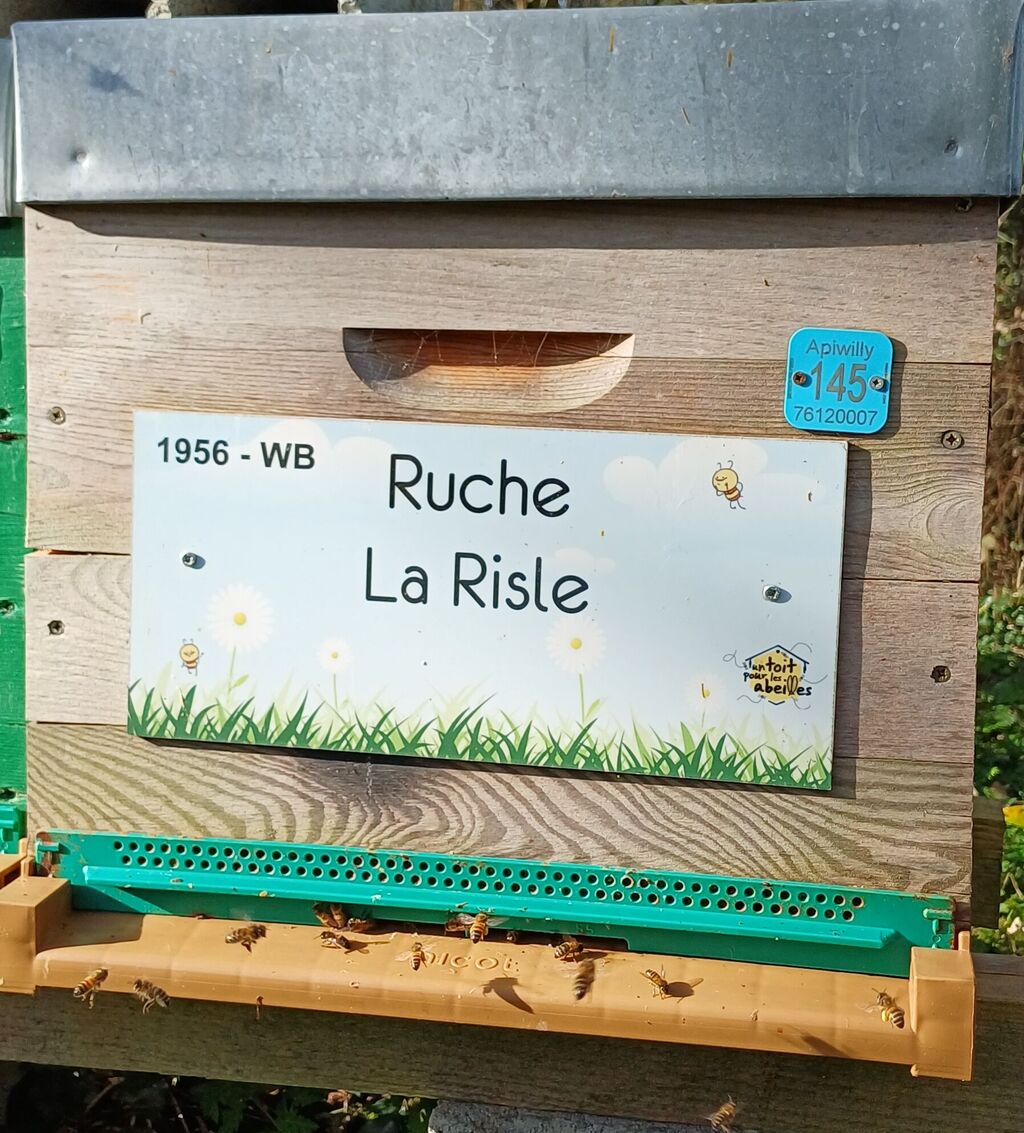 La ruche La Risle