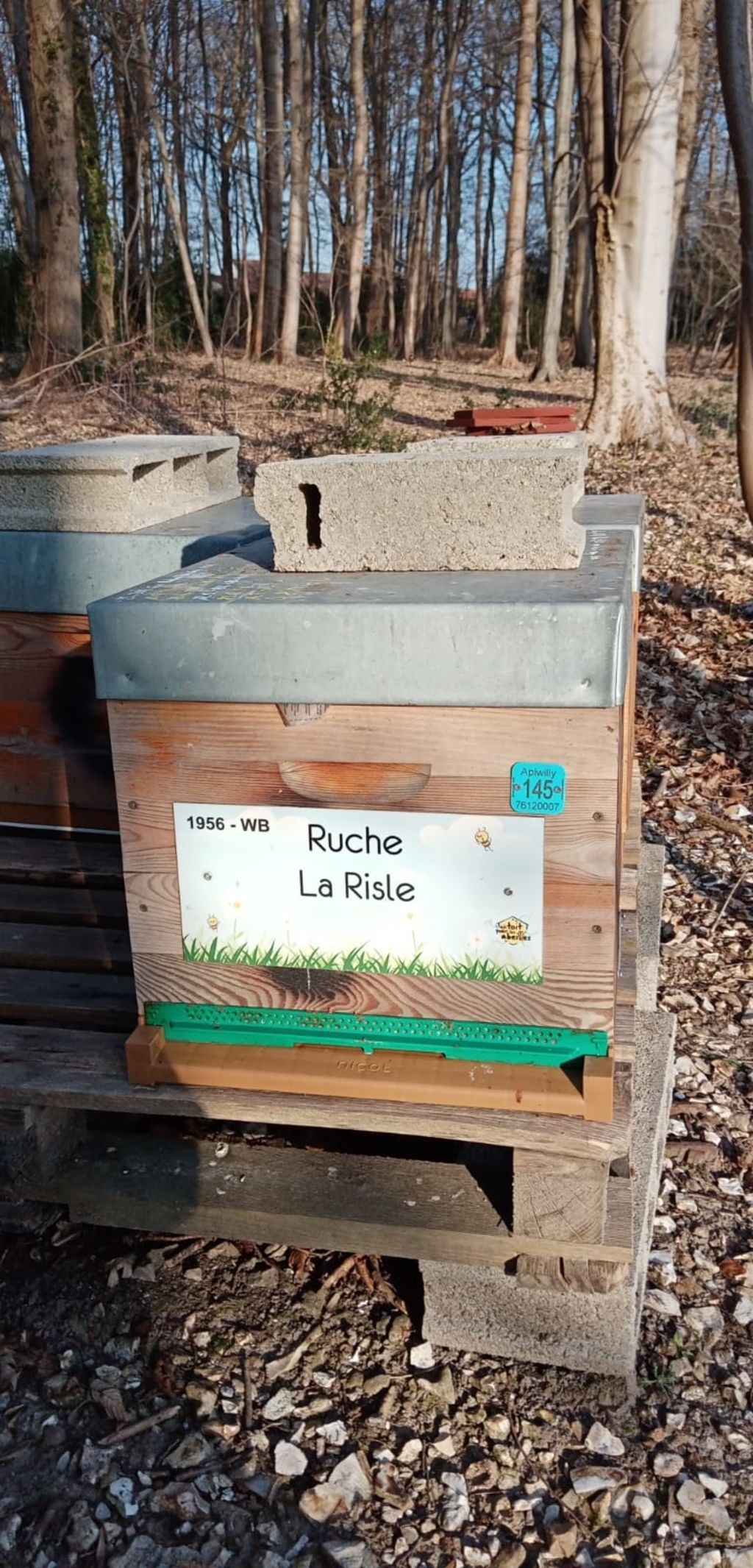 La ruche La Risle