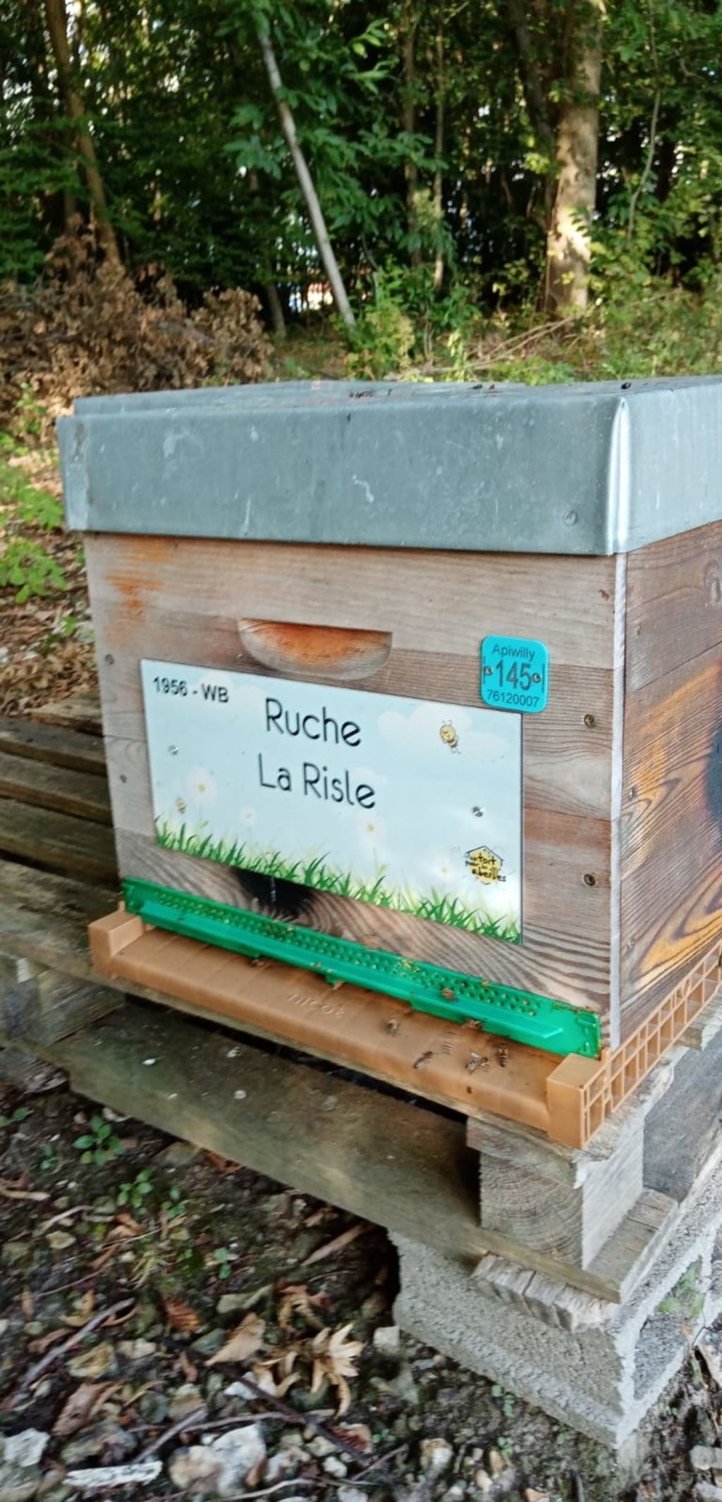 La ruche La Risle