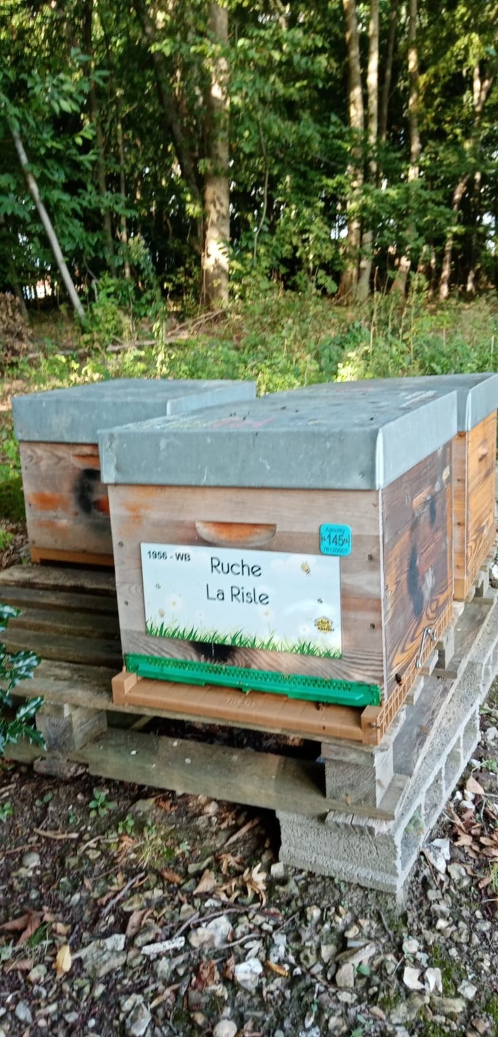 La ruche La Risle