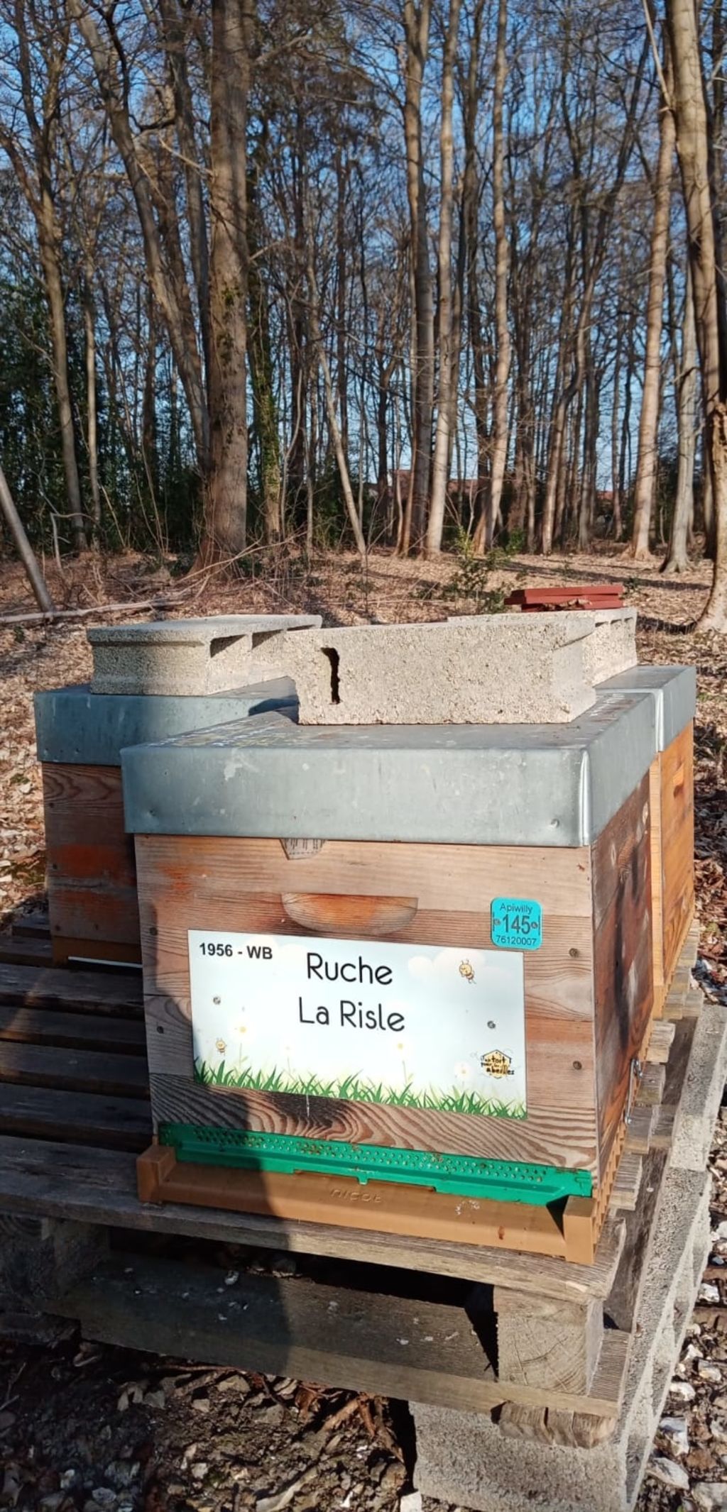 La ruche La Risle