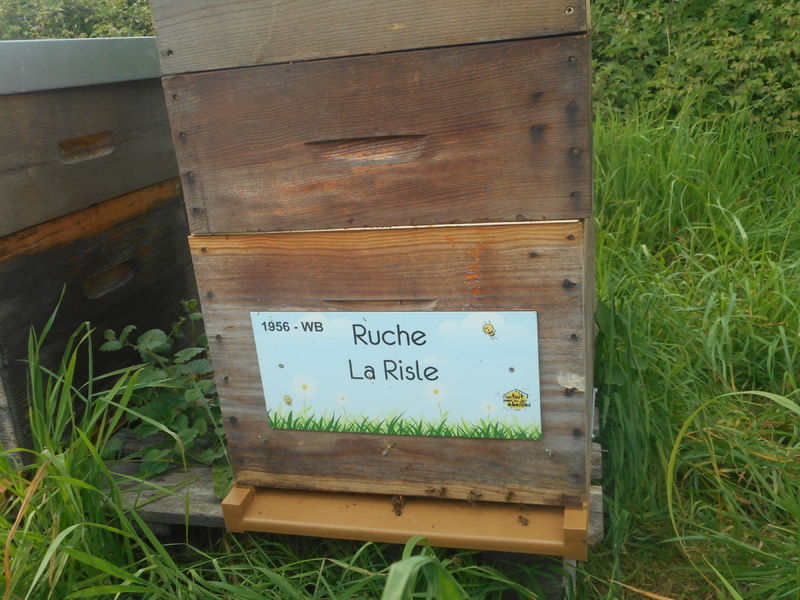 La ruche La Risle