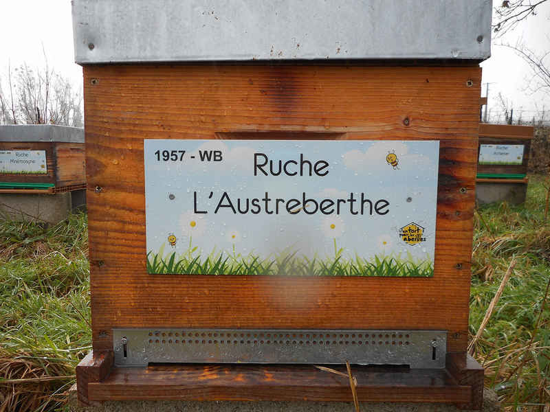 La ruche