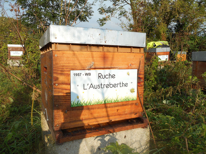 La ruche L