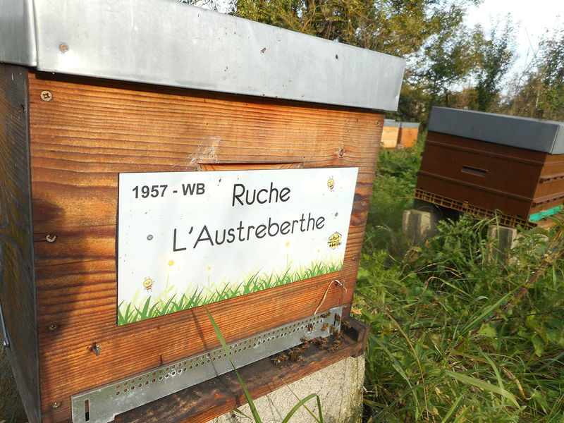 La ruche L