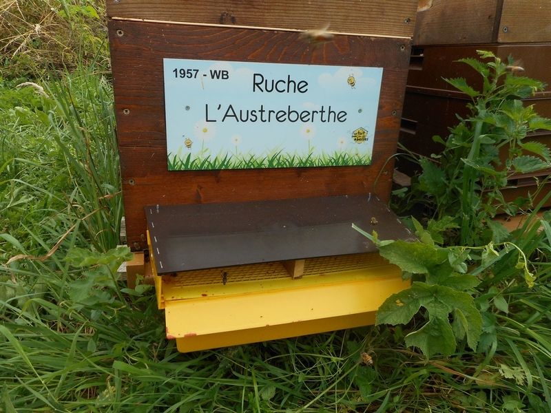 La ruche L
