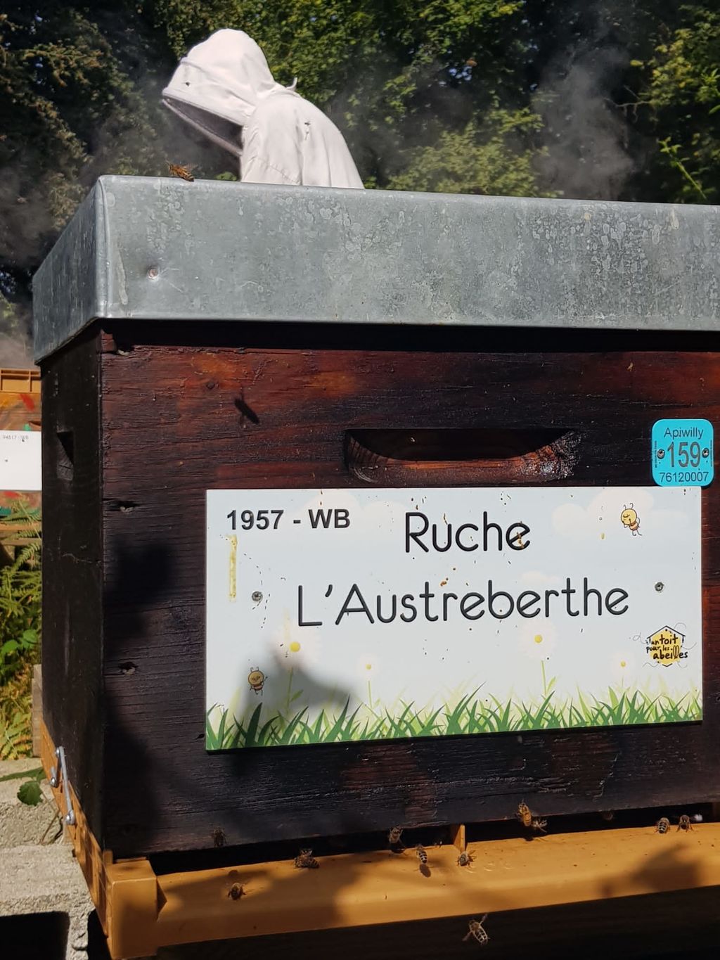 La ruche L