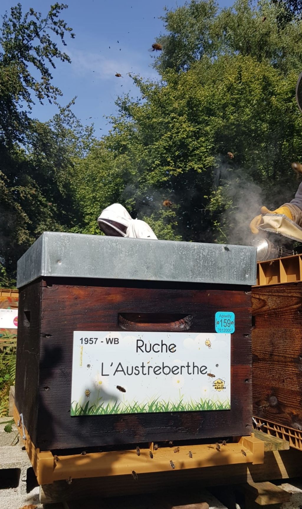 La ruche L