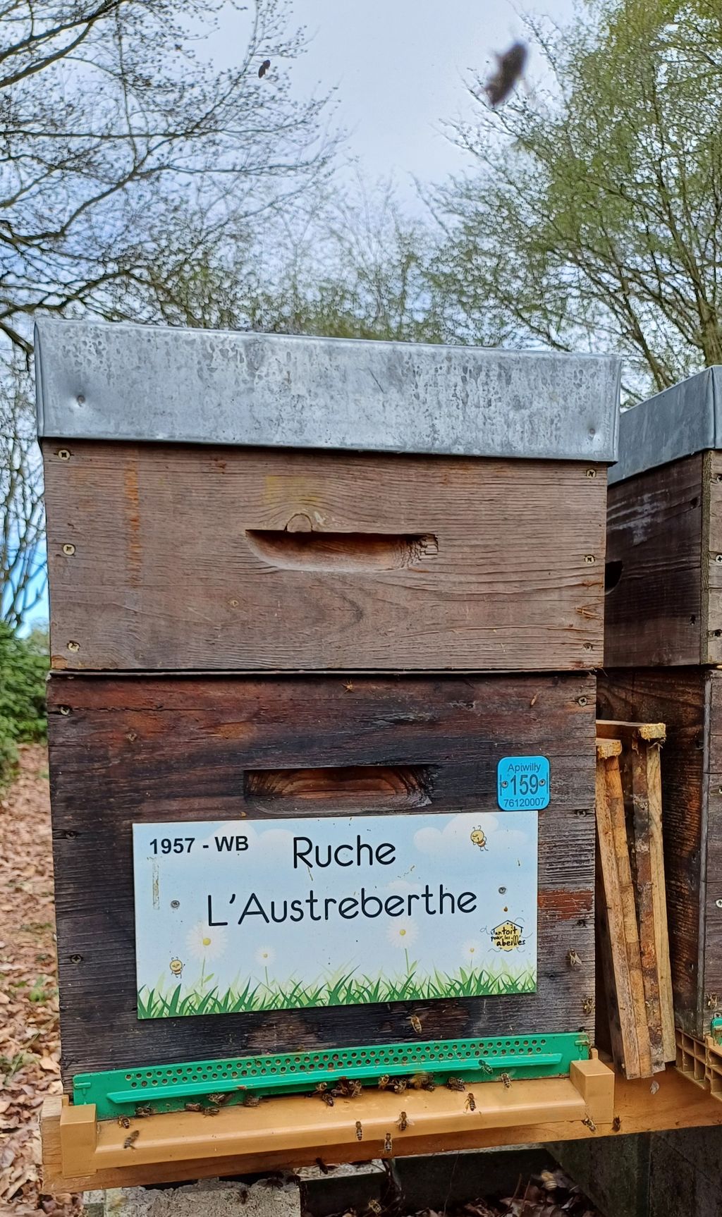 La ruche L