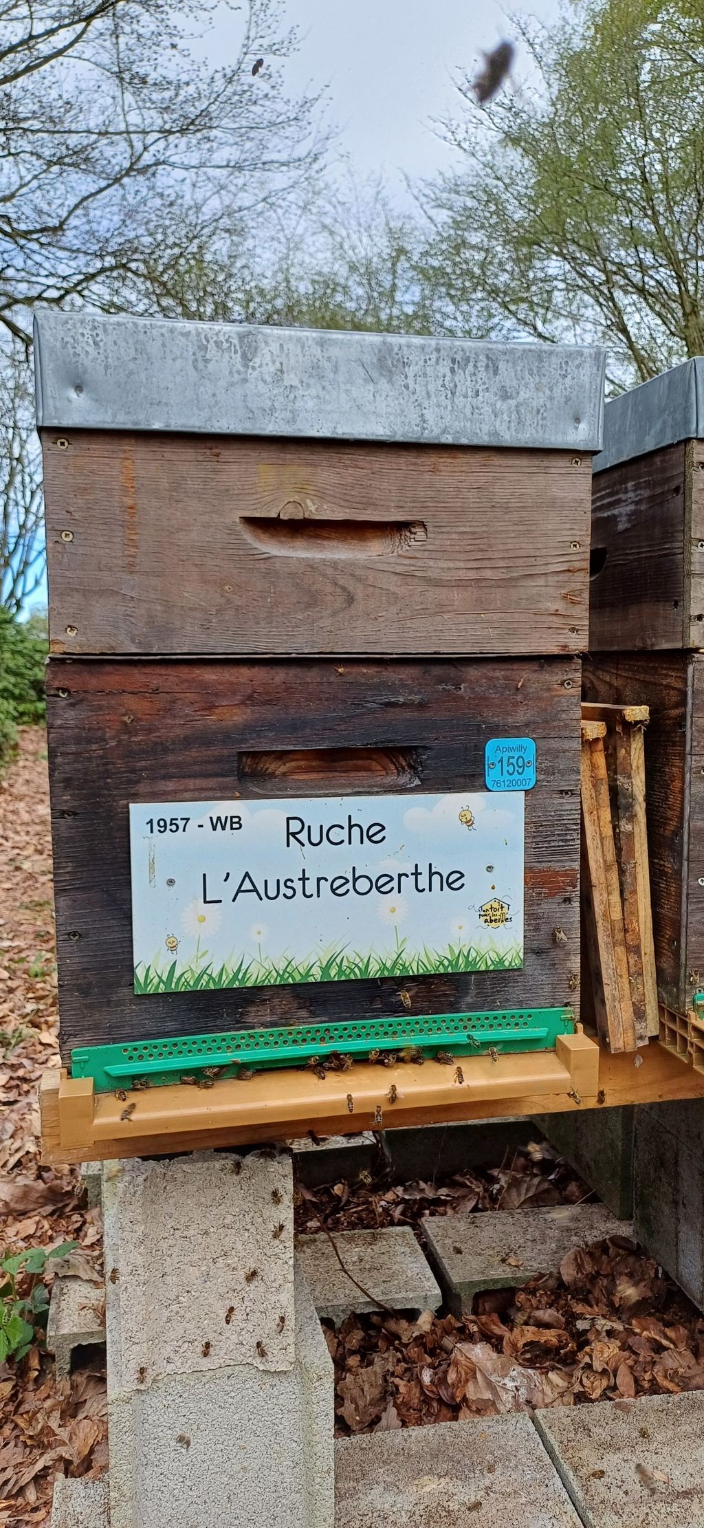 La ruche L