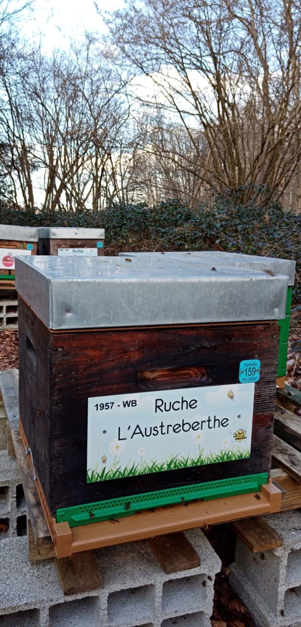 La ruche L
