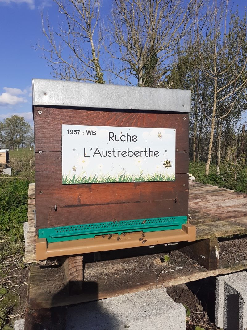 La ruche L