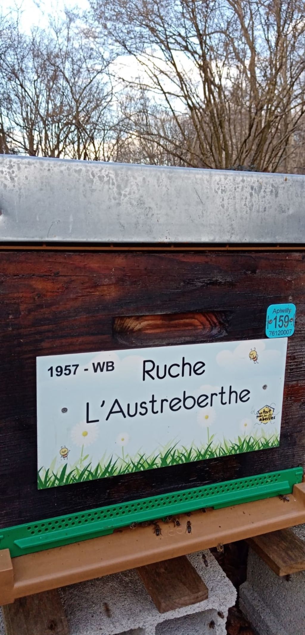 La ruche L