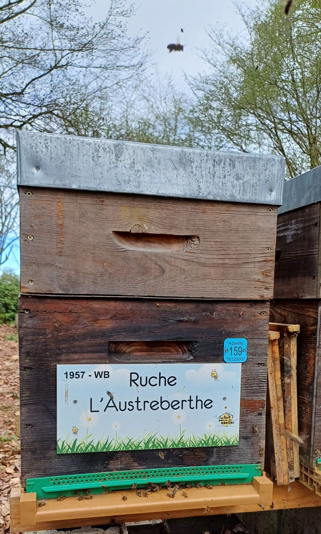 La ruche L