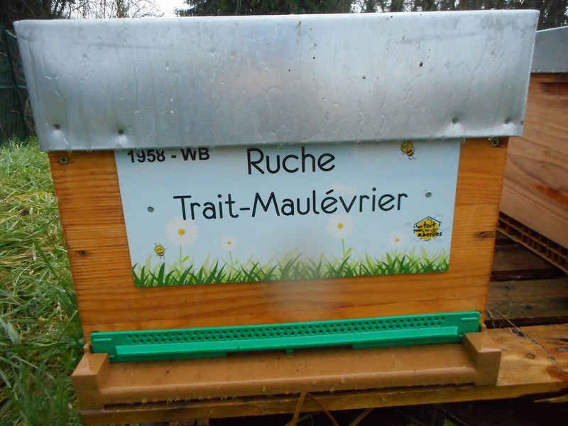La ruche Trait-Maulévrier