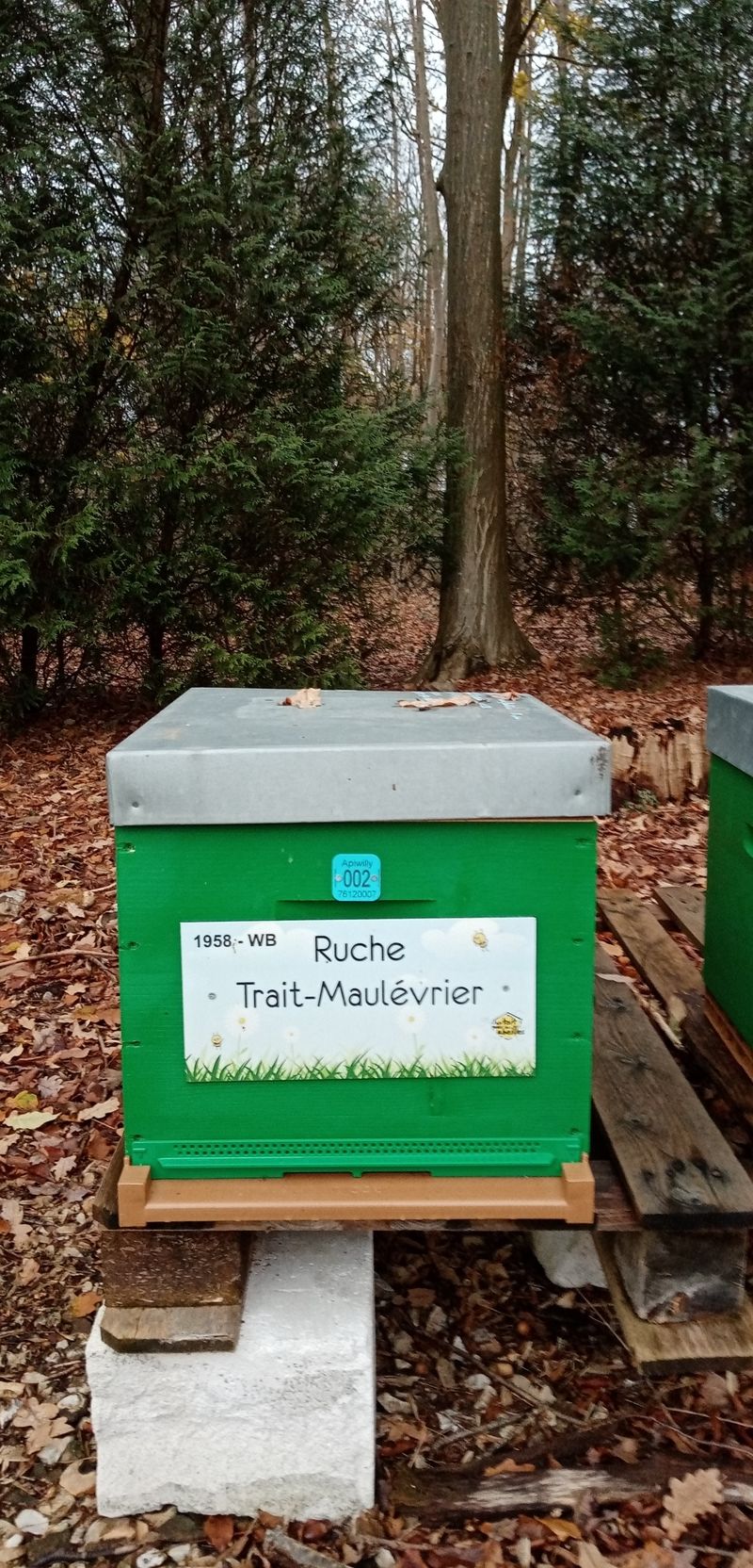 La ruche Trait-Maulévrier