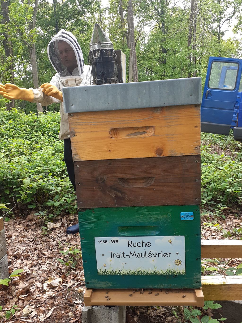 La ruche Trait-Maulévrier