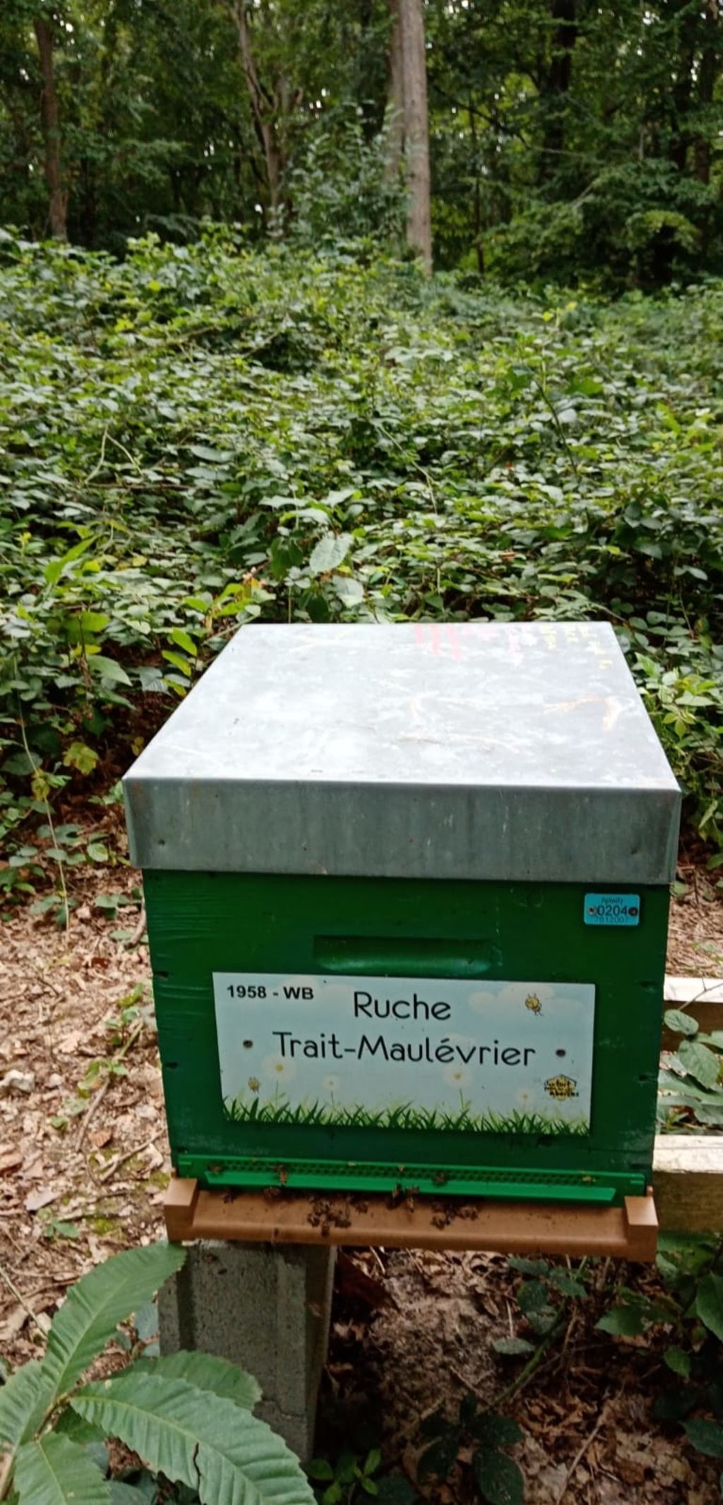 La ruche Trait-Maulévrier