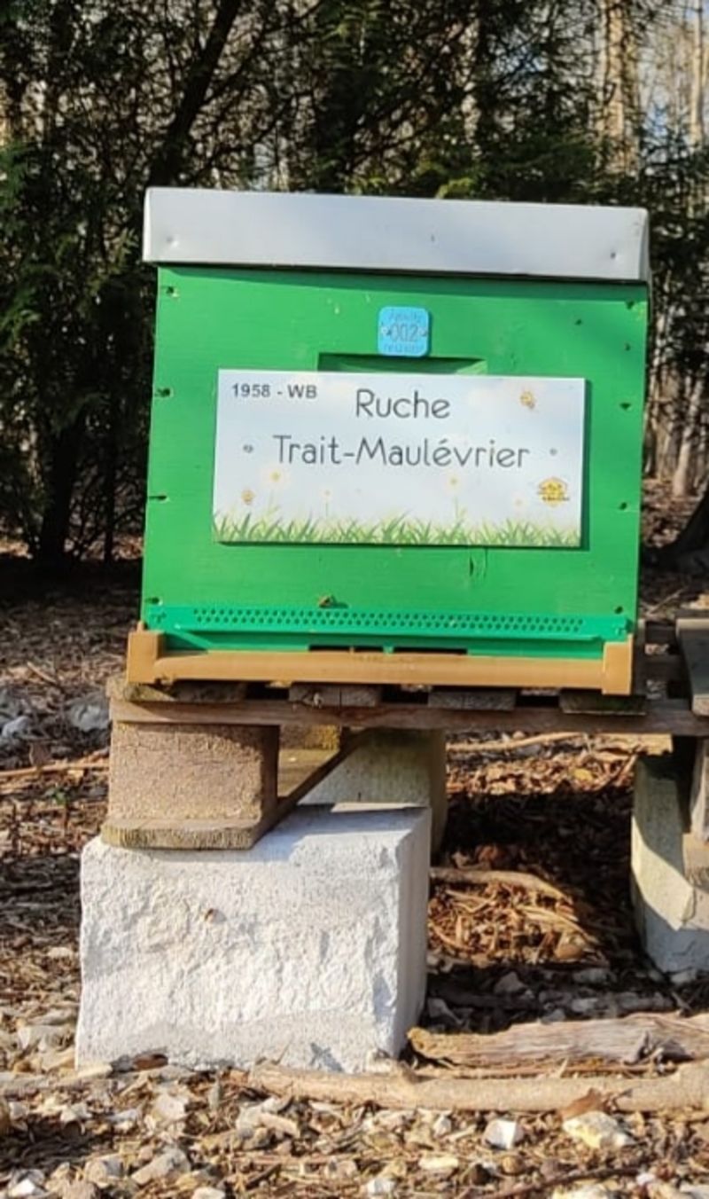 La ruche