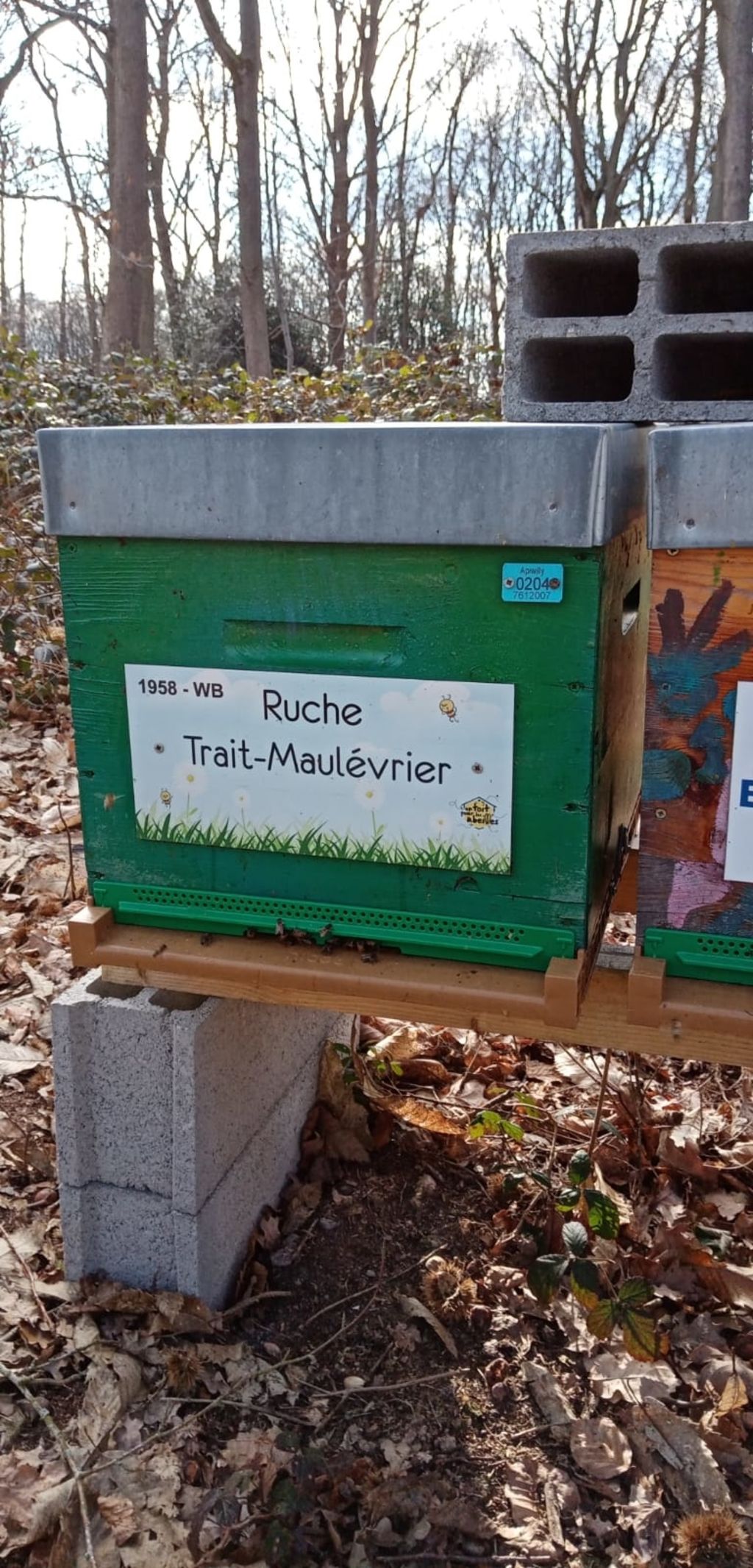 La ruche Trait-Maulévrier