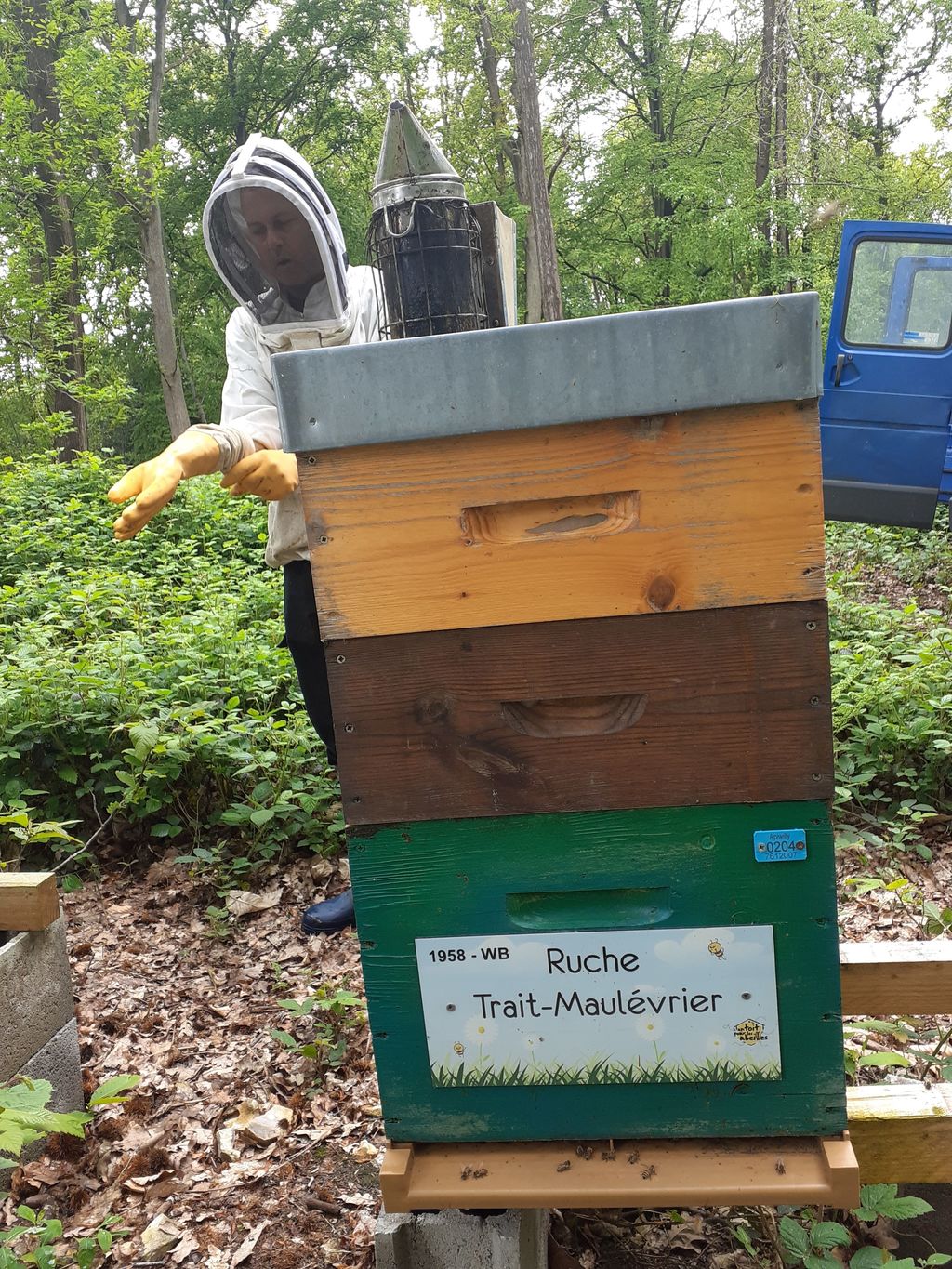 La ruche Trait-Maulévrier