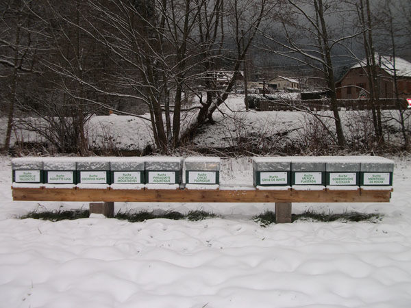 La ruche Grive de white