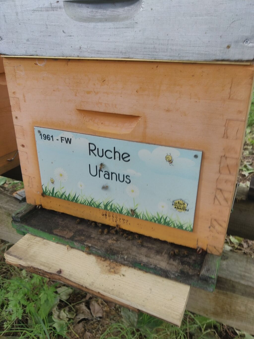 La ruche Uranus