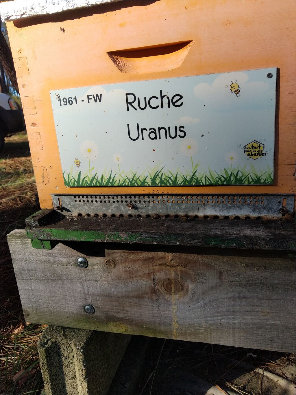 La ruche Uranus