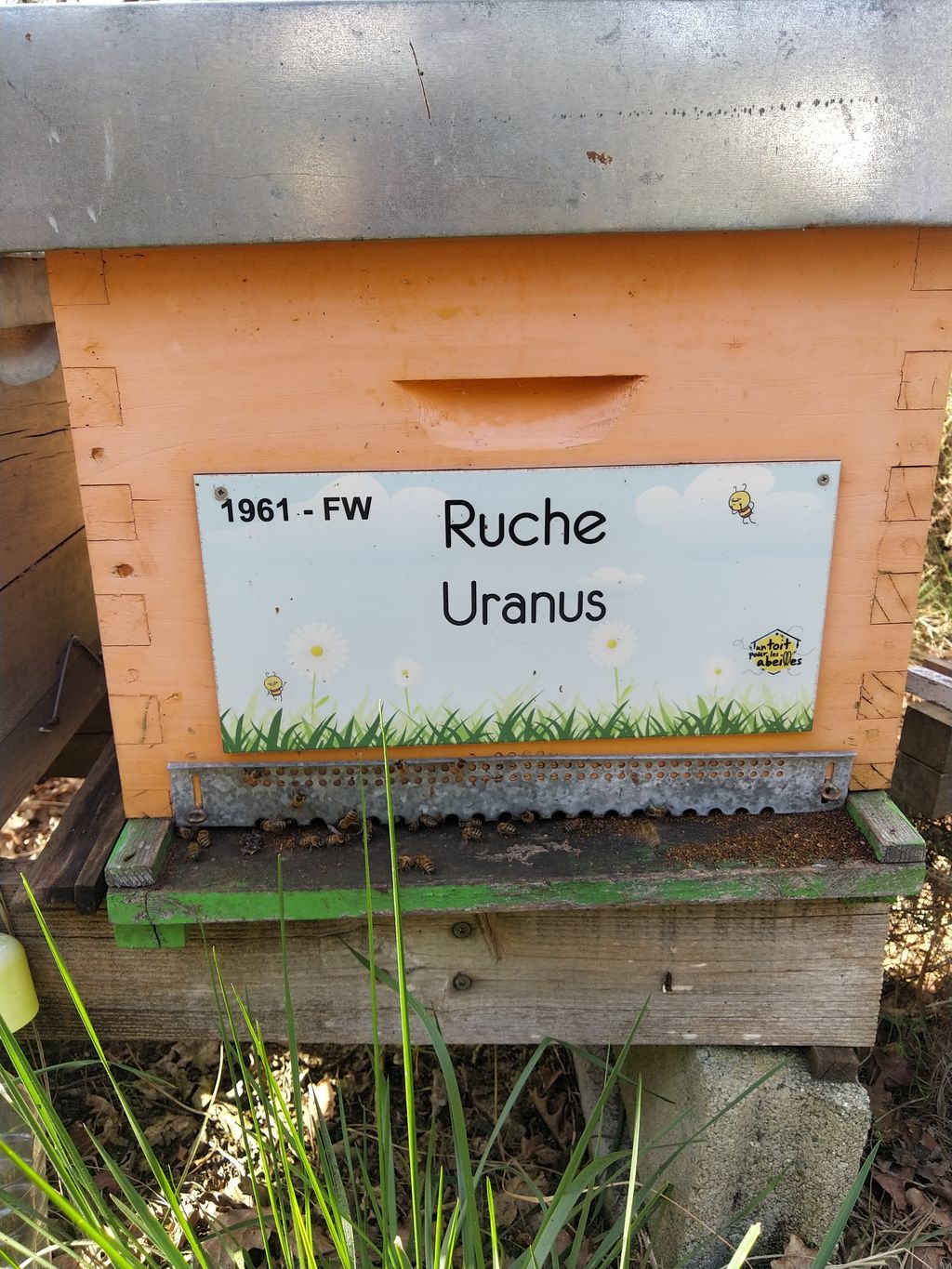 La ruche Uranus