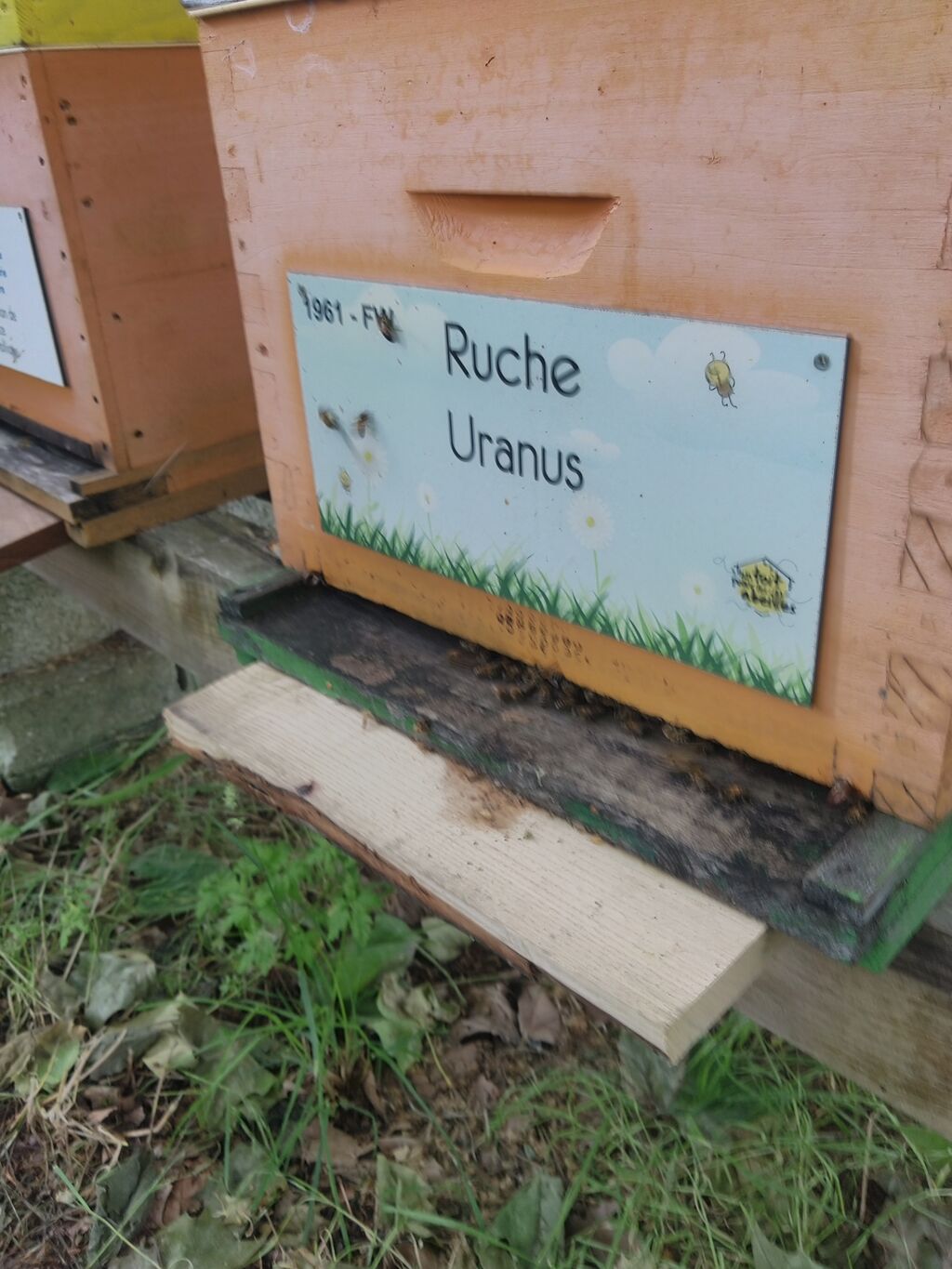 La ruche Uranus