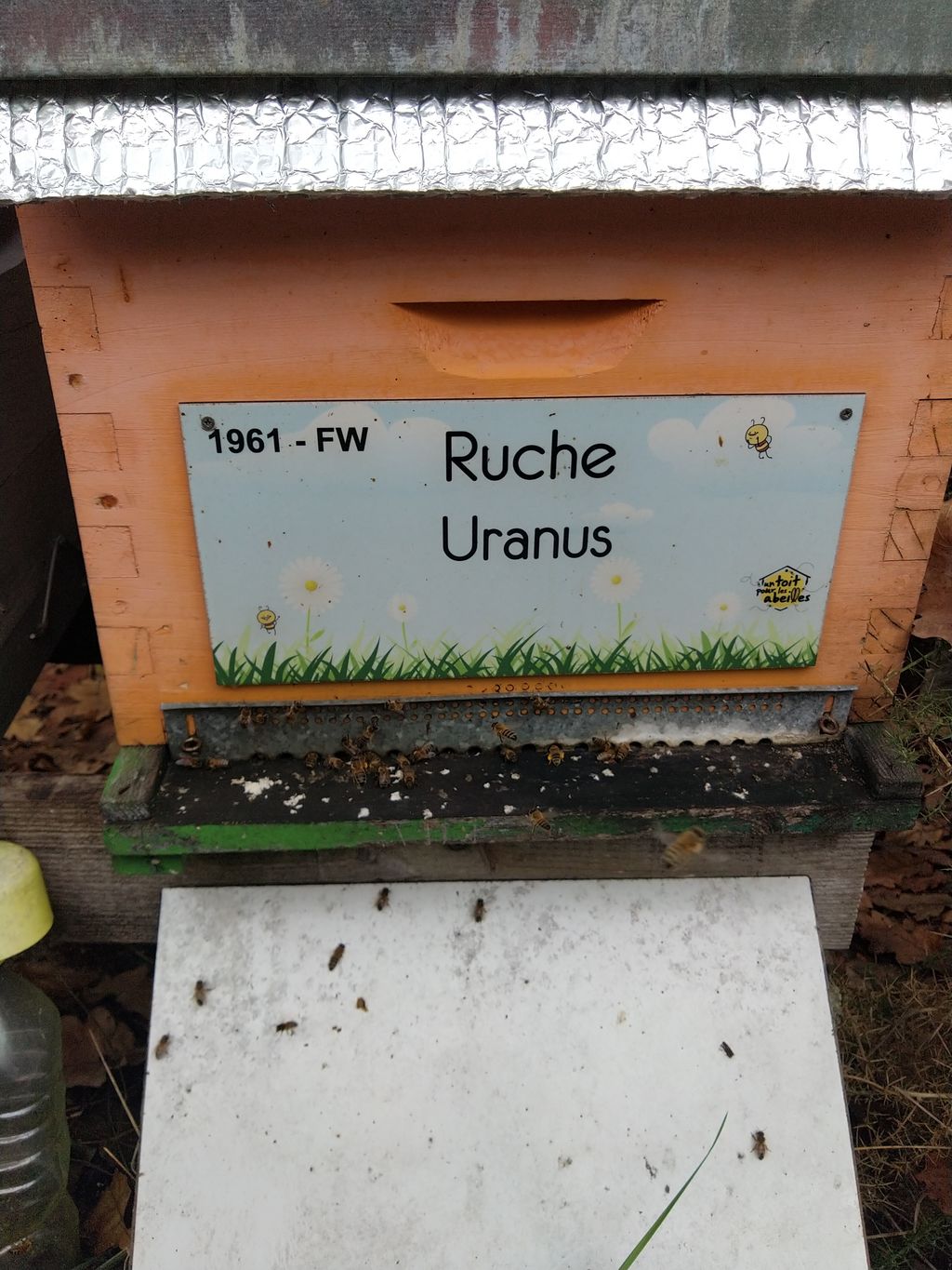 La ruche Uranus
