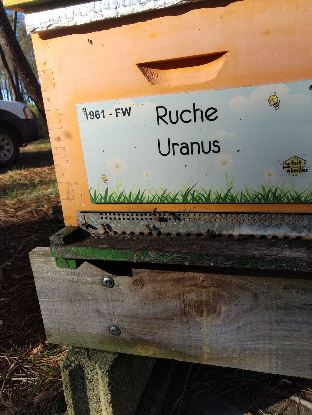 La ruche Uranus