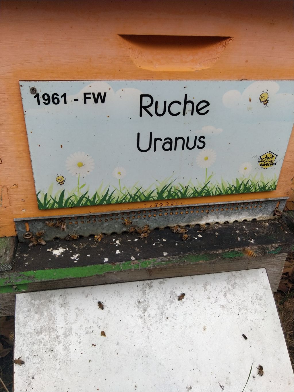 La ruche Uranus