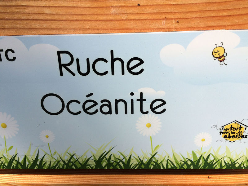 La ruche